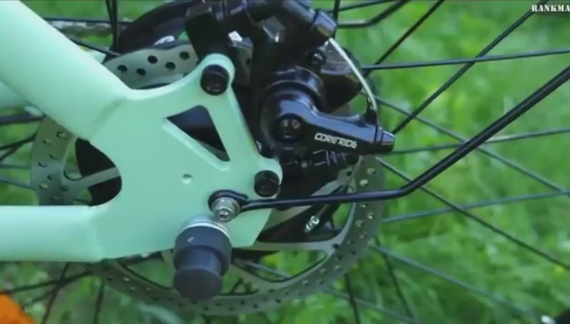 Bicicleta Eléctrica para Commuting – 120km, 250W, 7 Velocidades